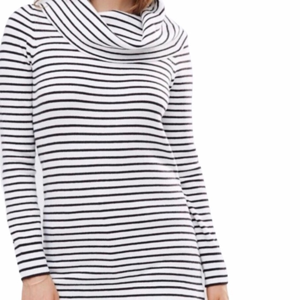 French Connection Striped Soft Cowl Turtleneck